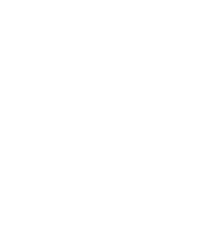 Ammo Mig